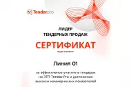 О вручении сертификата «Лидер тендерных продаж» 2025 в Красноярске 